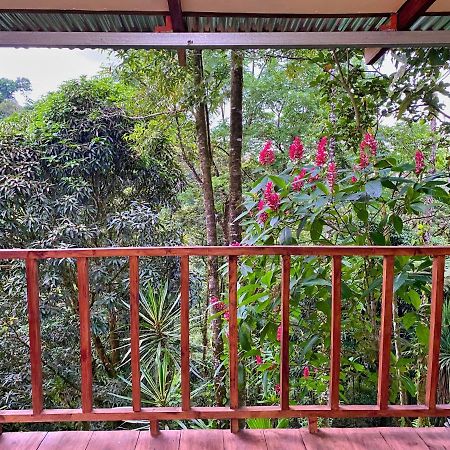 Princesa De La Luna Ecolodge La Fortuna Exterior foto
