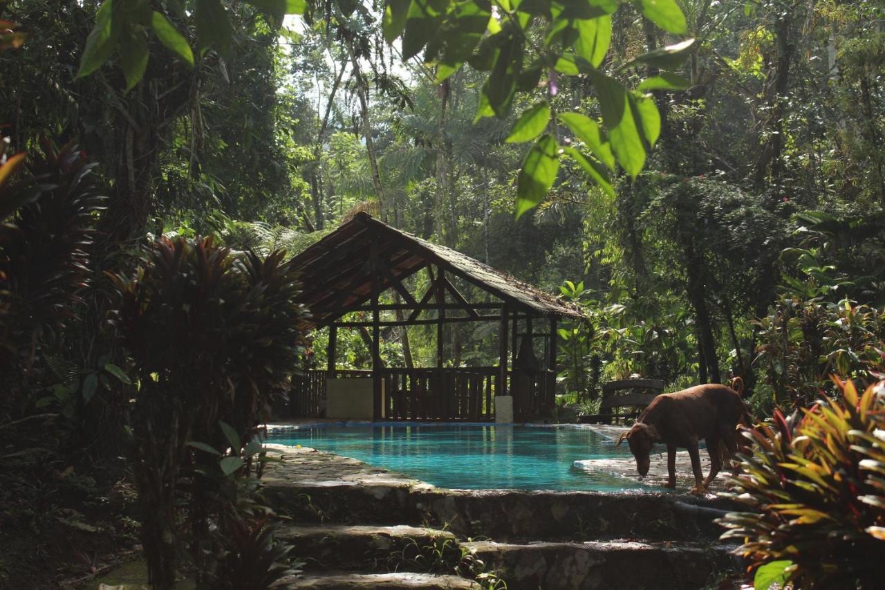 Princesa De La Luna Ecolodge La Fortuna Exterior foto